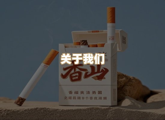 关于云歌烟网